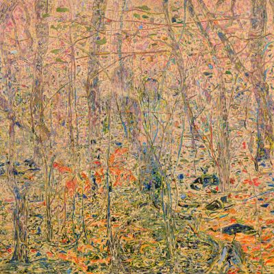  | Dalle radici siamo bosco verso il cielo