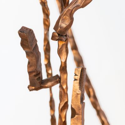  | Mangrovie (dettaglio)