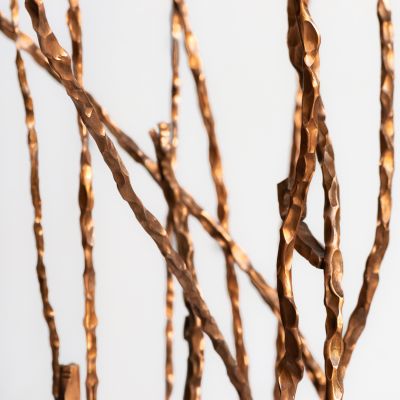  | Mangrovie (dettaglio)