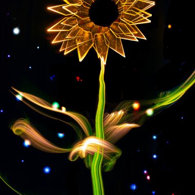 CrazyArmy | Light Flower