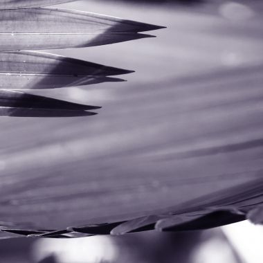 Cristina Maris | trame di vita