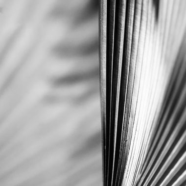 Cristina Maris | il ventaglio della luce