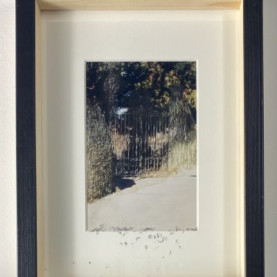  | Fotograffiate (dettaglio Cancellate)