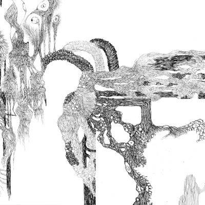  | Criptogenetica IX - Dettaglio n.1