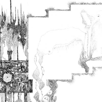  | Criptogenetica IX - Dettaglio n.2