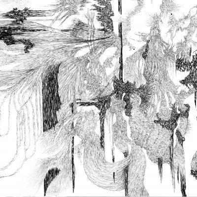  | Criptogenetica IX - Dettaglio n.3