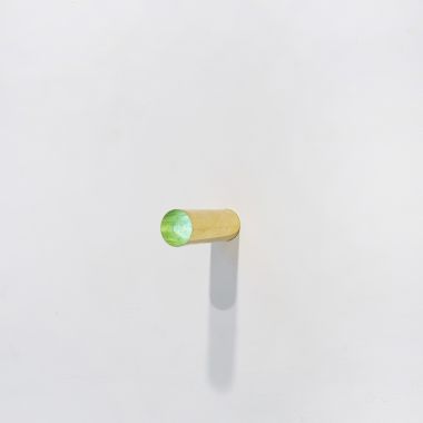 Damiana Facen | Giovane selvaggio