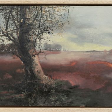 Davide Pegoraro | ”Passeggiata a natale”