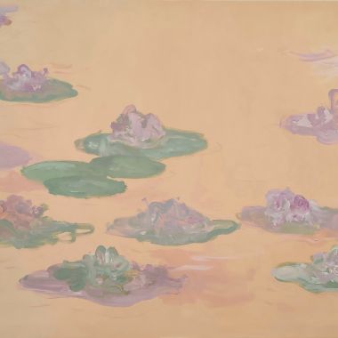 Davide Prevosto | Ninfee al tramonto