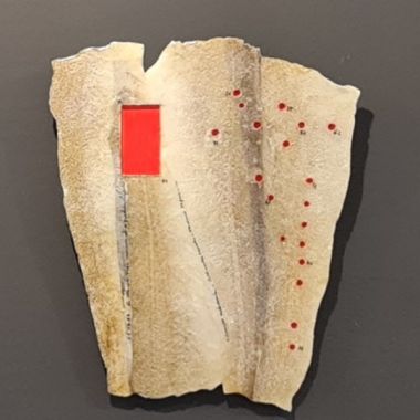 DEPAOLI GIANNI | OCEANI ALIENI