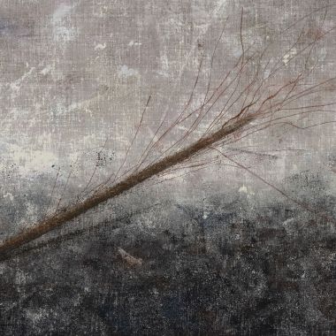 Fabio Riaudo | Solitary Growth