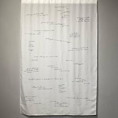 Fabiola Zero | Quel che ho visto e sentito