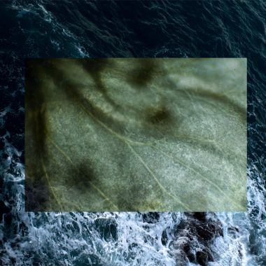 Federica Balconi | Inside - L’onda