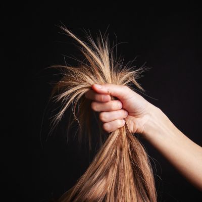  | La raccolta (Sono della stirpe degli alberi)