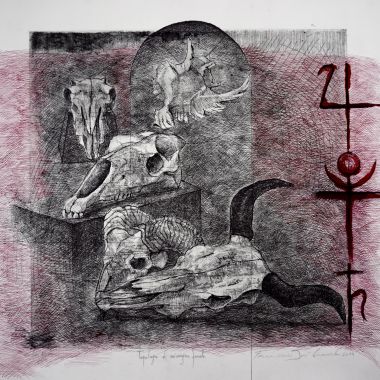 Francesco Josè Camerota | Topologia di un’origine fossile