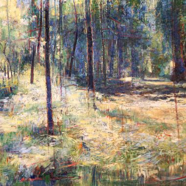 GIANNALISA DIGIACOMO | UN’ ALTRA VITA