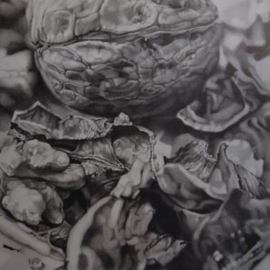 Giulia Federico | Fragilitas