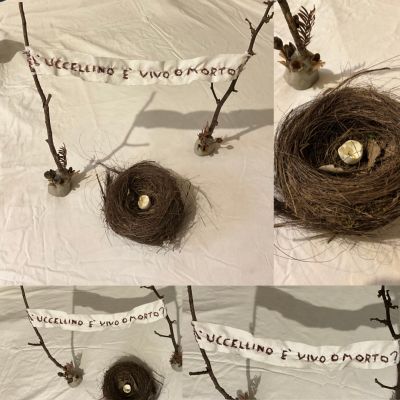  | L&rsquo;uccellino &egrave; vivo o morto?