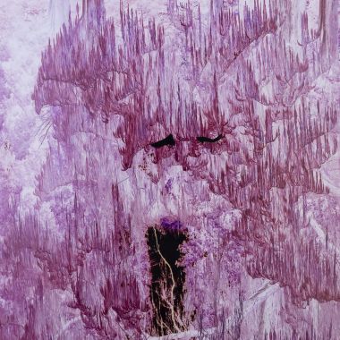 Gloria V | L’Inconscio in fiore