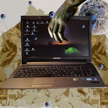 Ingrid Steckelberg | Data theft