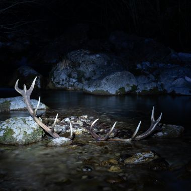 Ivan Terranova | Sant’Uberto