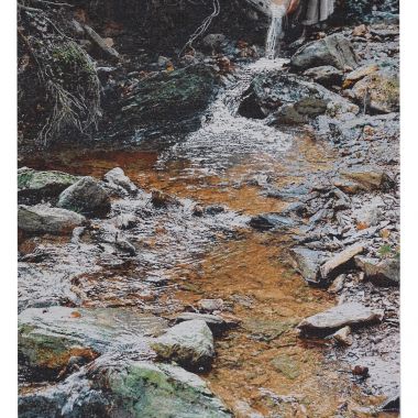 Jenny Ymker | Source