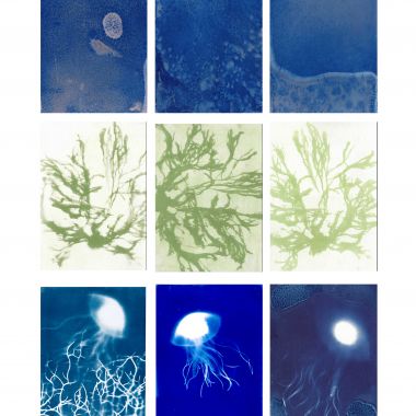 Lisa Roselli Zani | Acqua viva