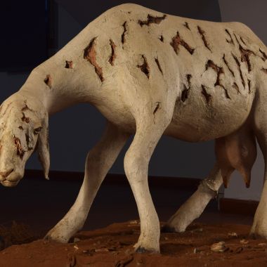 Lorenzo Scarpellini | Beeea