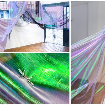  | Episode 4: hedgehog&rsquo;s dilemma