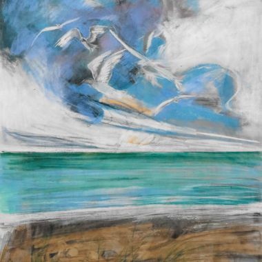 Marco Dolfi | Fuga di gabbiani