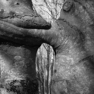  | L&rsquo;abbraccio - 2025