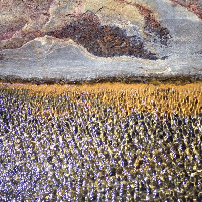  | Istanti Millenari - Le rocce di Calafuria