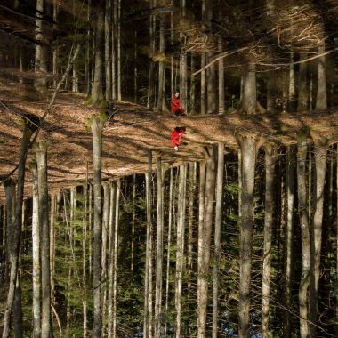 Elibelinda | Morgana - Autoritratto nel bosco