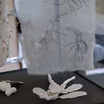  | The world is fragile and so am I