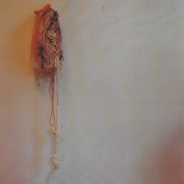 Martina Veracini | LA FETOVANZA