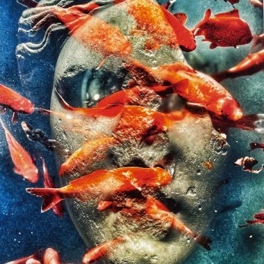 Mattia Paoli | Il volto e l’acqua