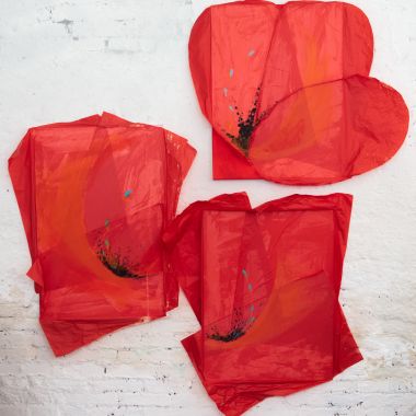 Michaela Reinhardt | Mohnblumen (Papaveri)