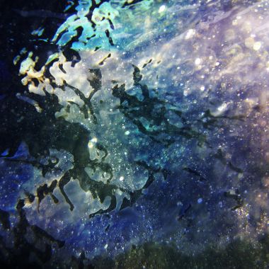 Michela Bernasconi | Sottacqua #4