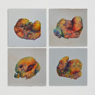 Michela Magazzù | Homunculus series