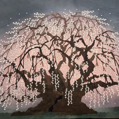 Minori Shimizu | SAKURA