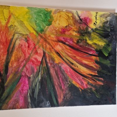  | Immaginazioni verso la libert&agrave;