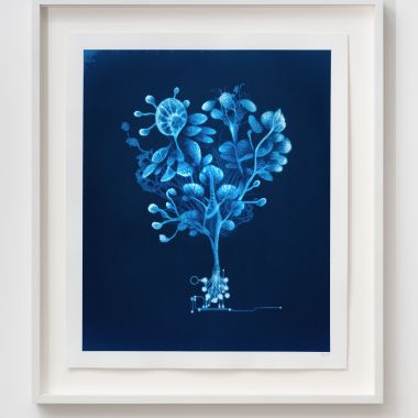 Olmo Amato | Bulbaria processiva 10001010