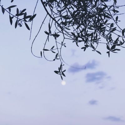  | Tocco la luna con un dito