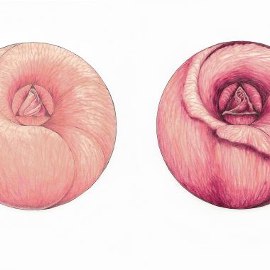 SATOR | LetterAzione - ROSA