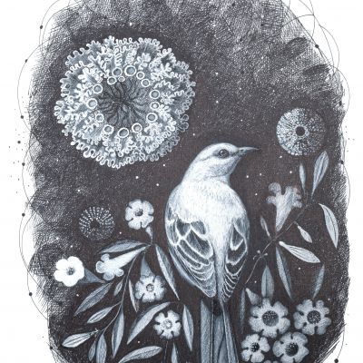  | Giardino cosmico con lichene