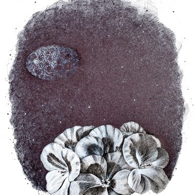 Serena Bellini | Giardino cosmico