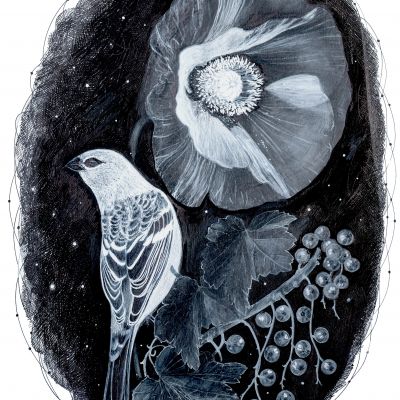  | Giardino cosmico con papavero