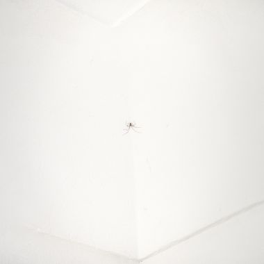 Thomas Schlereth | untitled, 28101, 2024