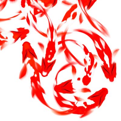  | La Scelta II - Dettaglio 2